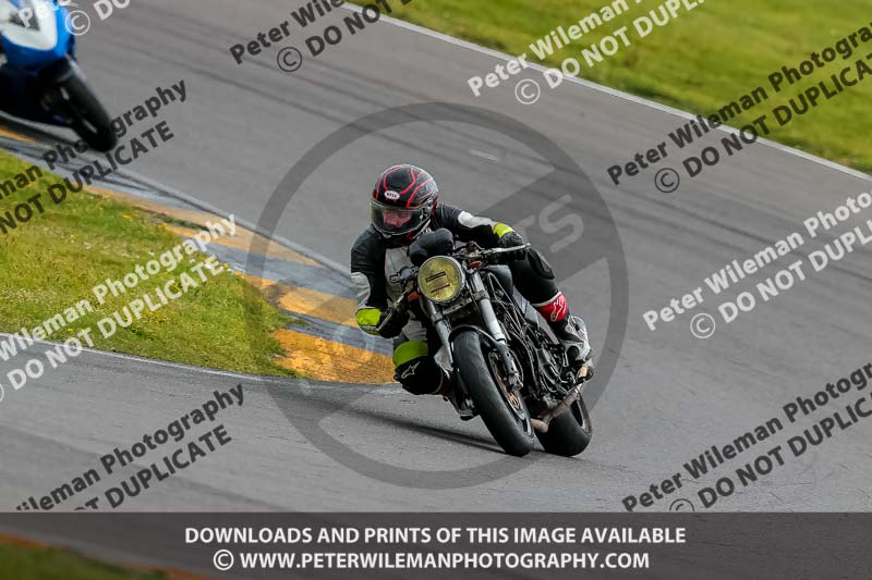 PJ Motorsport 2019;anglesey no limits trackday;anglesey photographs;anglesey trackday photographs;enduro digital images;event digital images;eventdigitalimages;no limits trackdays;peter wileman photography;racing digital images;trac mon;trackday digital images;trackday photos;ty croes